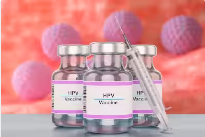 HPV vaccine candidates