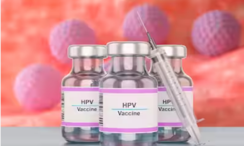 HPV vaccine candidates